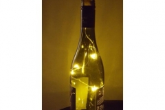 Led Bottle Lights 1