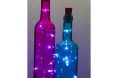 Led Bottle Lights