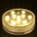 Submersible LED - 10  - Clear White 