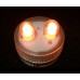 Submersible LED - 2 Bulbs -Clear White