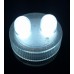 Submersible LED - 2 Bulbs - Warm White
