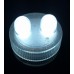 Submersible LED - 2 Bulbs - Orange