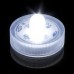 Submersible LED - Clear White