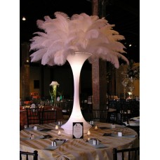 LIGHTED MINI TOWER WITH FEATHERS