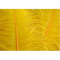 OSTRICH FEATHERS - LARGE