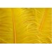OSTRICH FEATHERS - SMALL